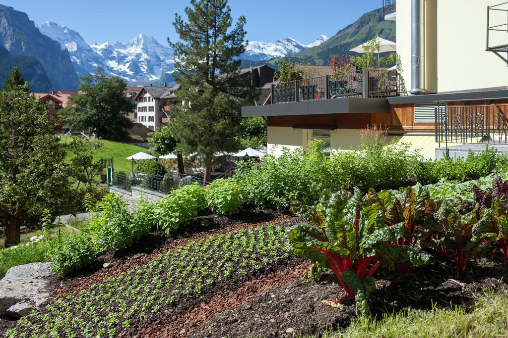 Hotel Schoenegg Wengen Zewnętrze zdjęcie