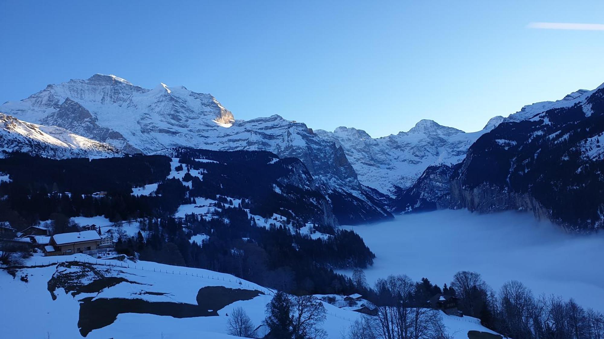 Hotel Schoenegg Wengen Zewnętrze zdjęcie